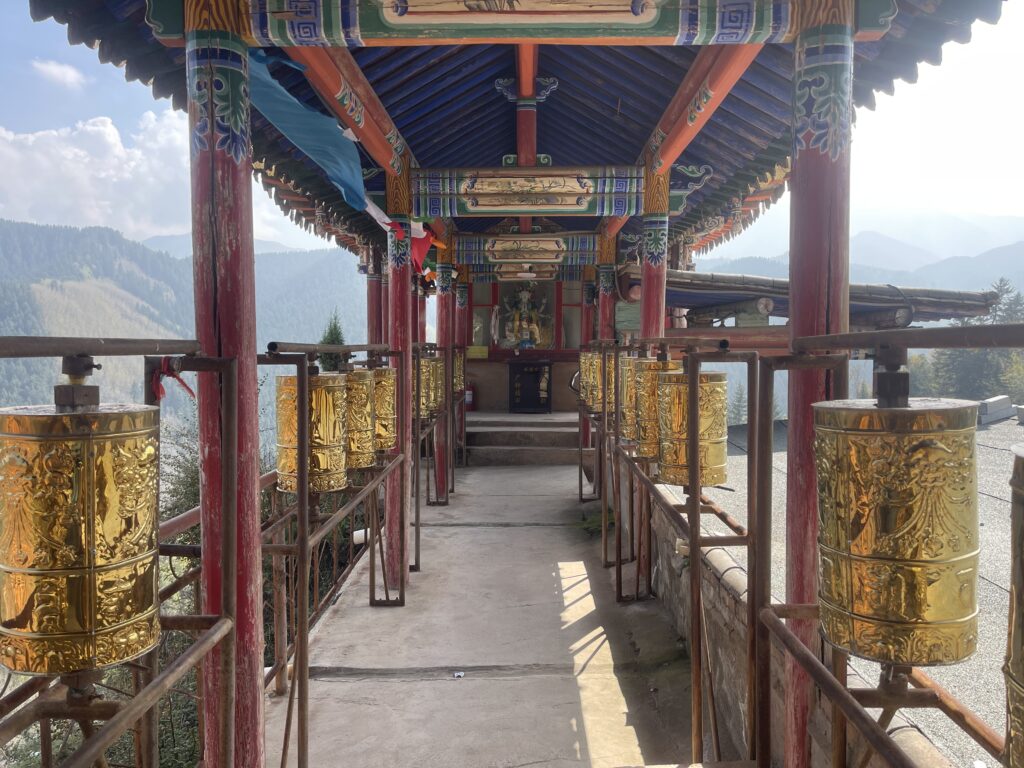 Shadzong ritro