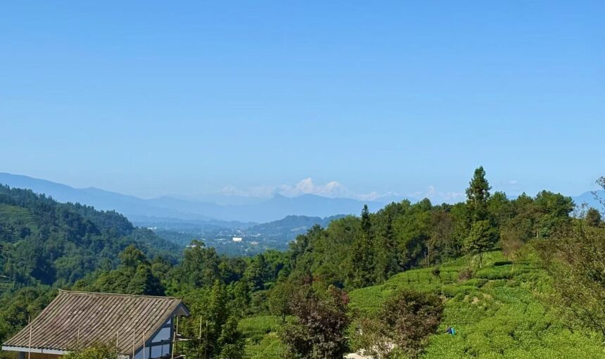 Yaan / Yaknga གཡག་རྔ