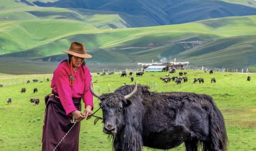 Luhuo / Drago བྲག་འགོ