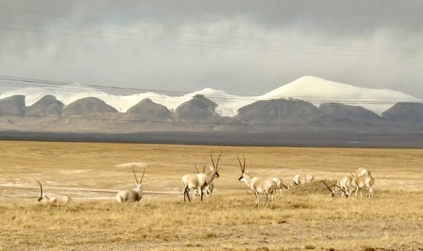 Haixi Mongol & Tibetan Autonomous Prefecture