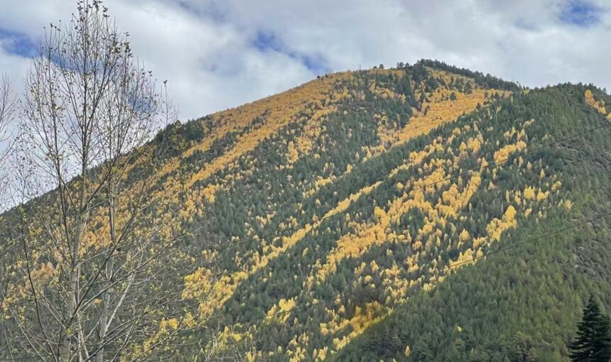 Yajiang / Nyakchuka ཉག་ཆུ་ཁ