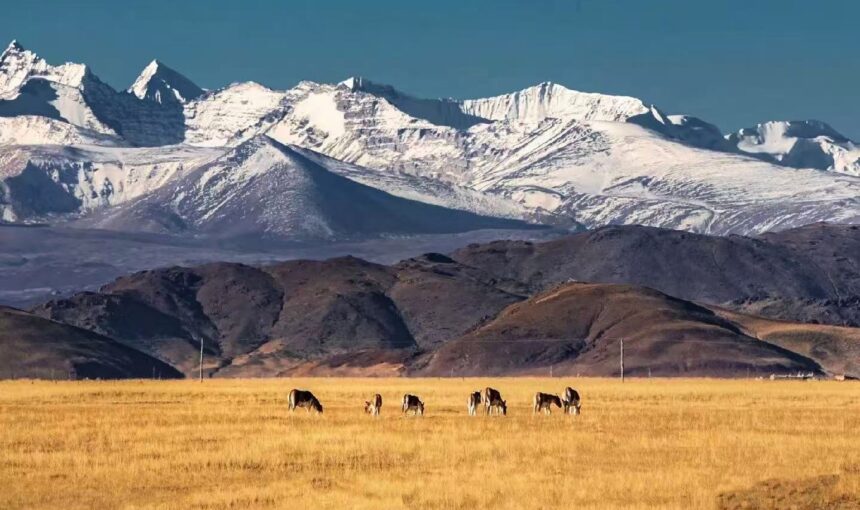 Drito Dzong / Zhiduo འབྲི་སྟོད།