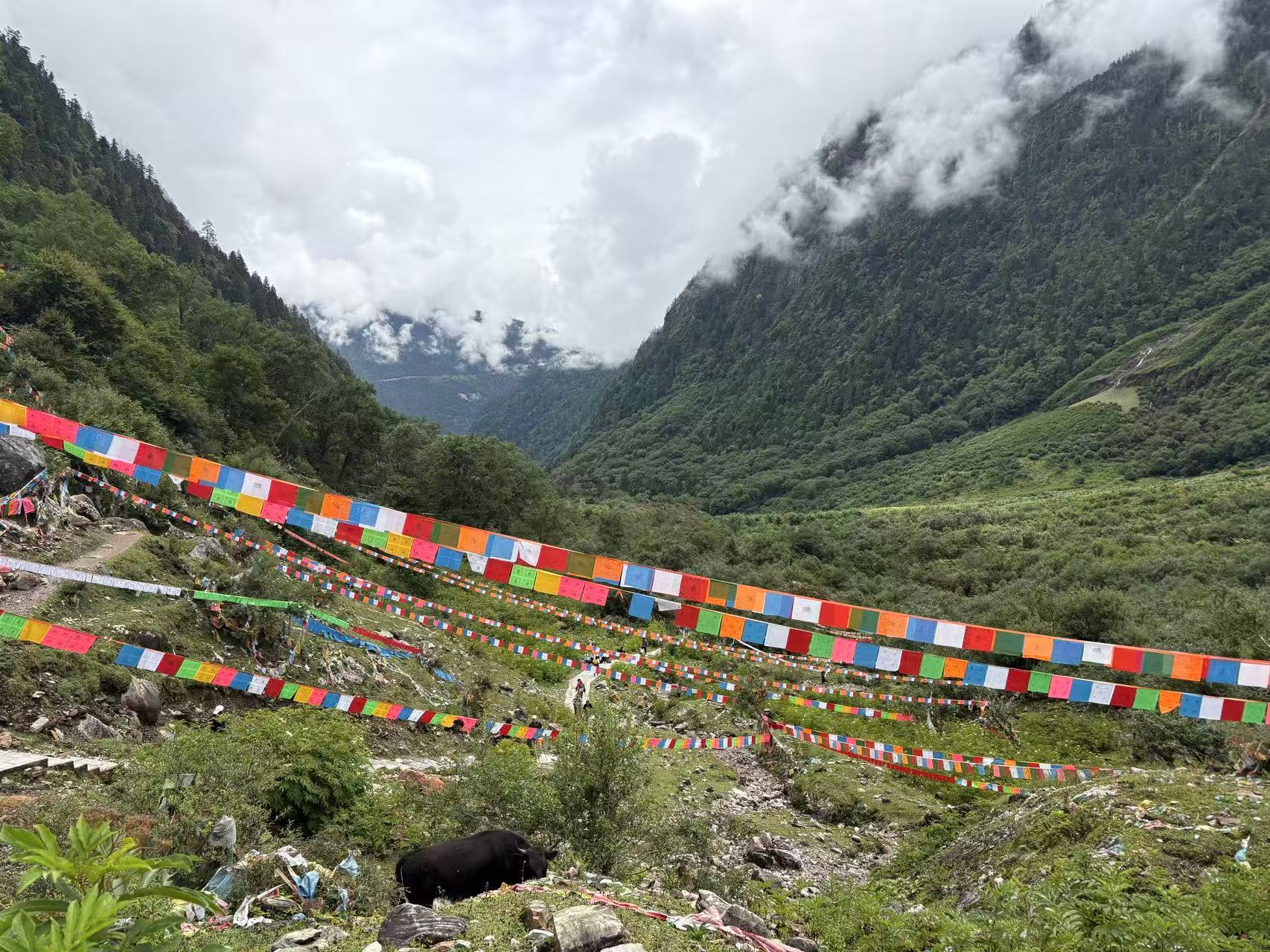 Xinlong / Nyakrong ཉག་རོང་།