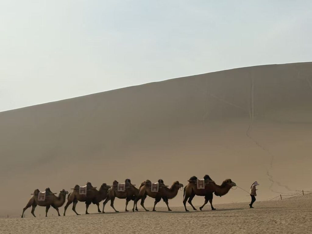 Silk Road