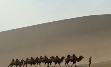 Silk Road