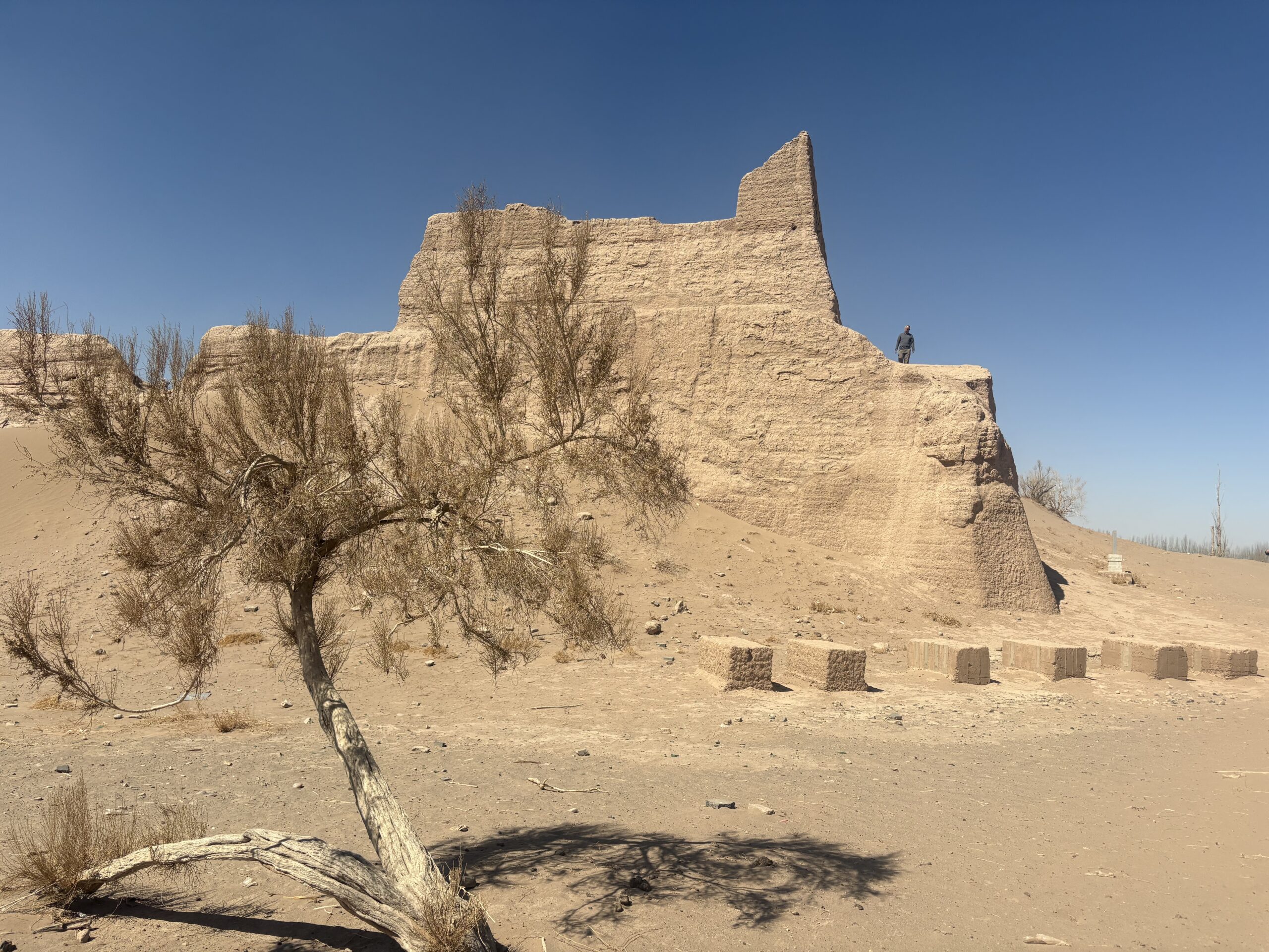 Black Water Kingdom Ruins