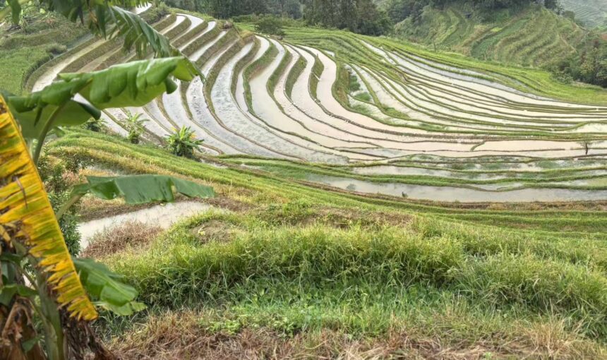 Yuanyang Rice Terraces
