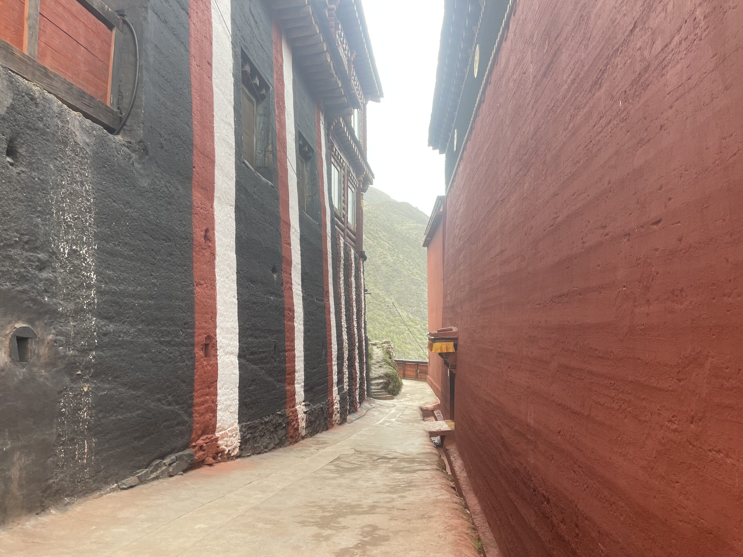 Dzongsar Monastery (Dzongsar Gompa, Trashi Lhatse) རྫོང་སར་དགོན་པ།